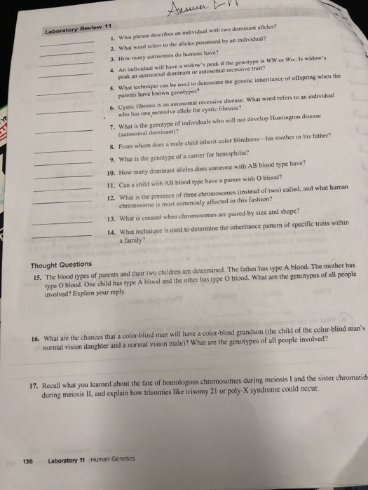 Solved ketonuria (PKU) is characterized by severe