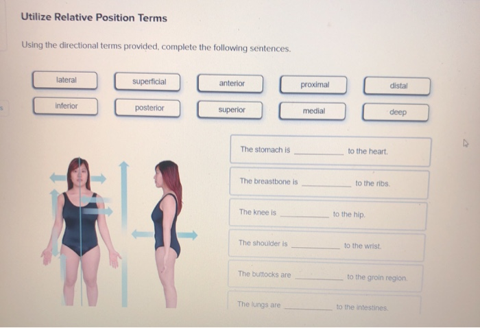 Relative Position Ast Solved Utilize Relative Position Terms Using the directional | Chegg.com