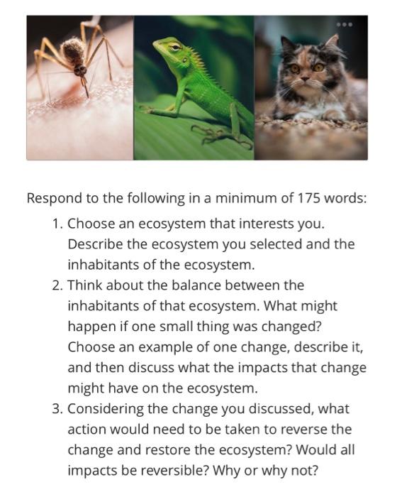 Solved o Respond to the following in a minimum of 175 words: | Chegg.com