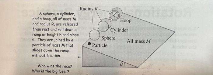 A sphere, a cylinder. and \( a \) hoop, all of mass \( M \) and radius \( R \), are released from rest and roll down a ramp o