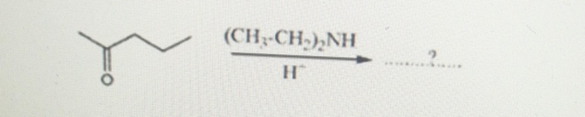 Solved H−(CH3⋅CH2)2NH ? | Chegg.com