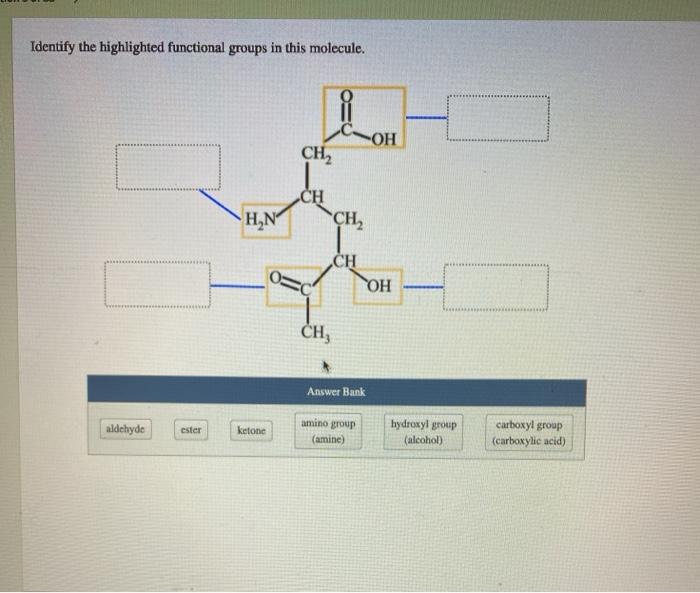 Solved Identify the highlighted functional groups in the | Chegg.com