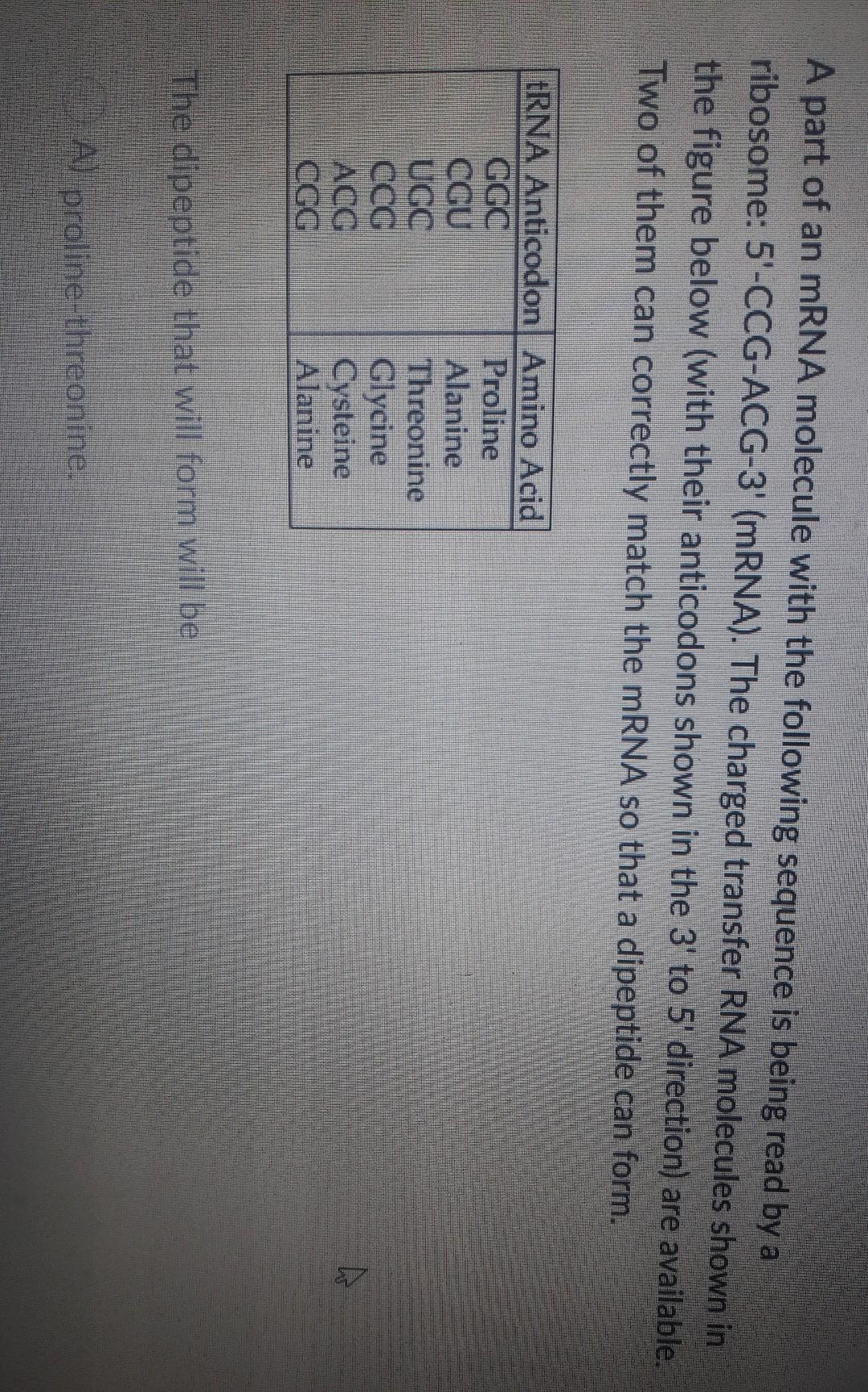 Solved A part of an mRNA molecule with the following | Chegg.com