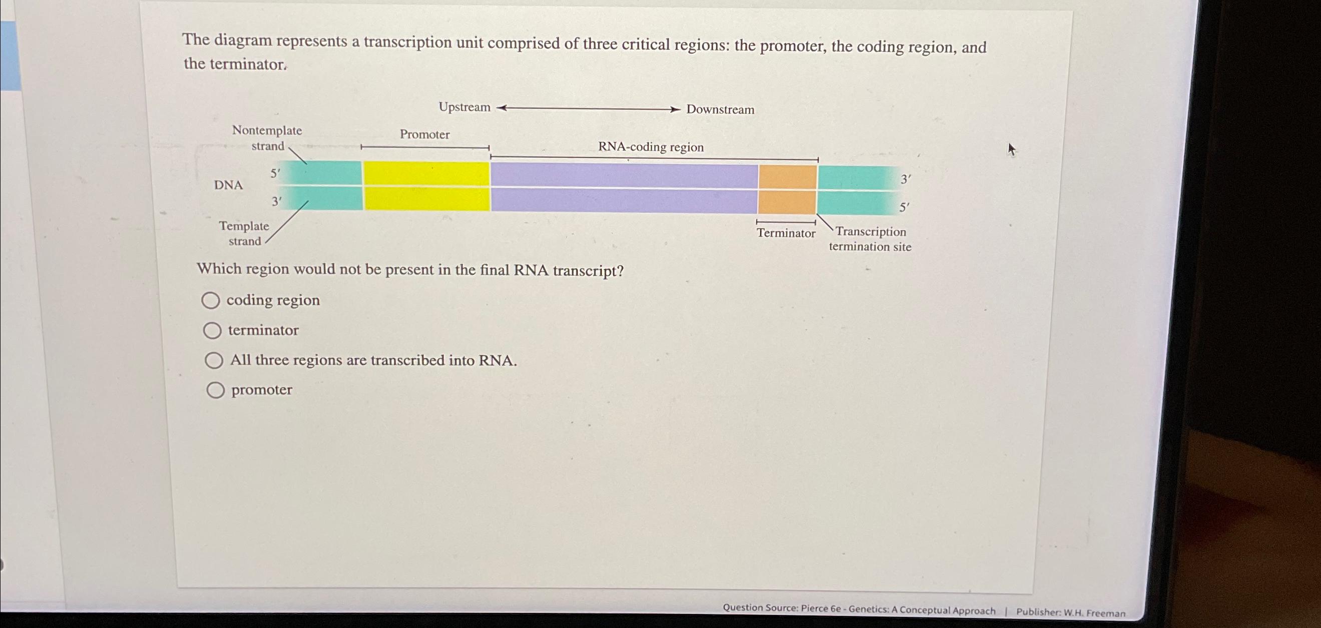 Solved The diagram represents a transcription unit comprised | Chegg.com
