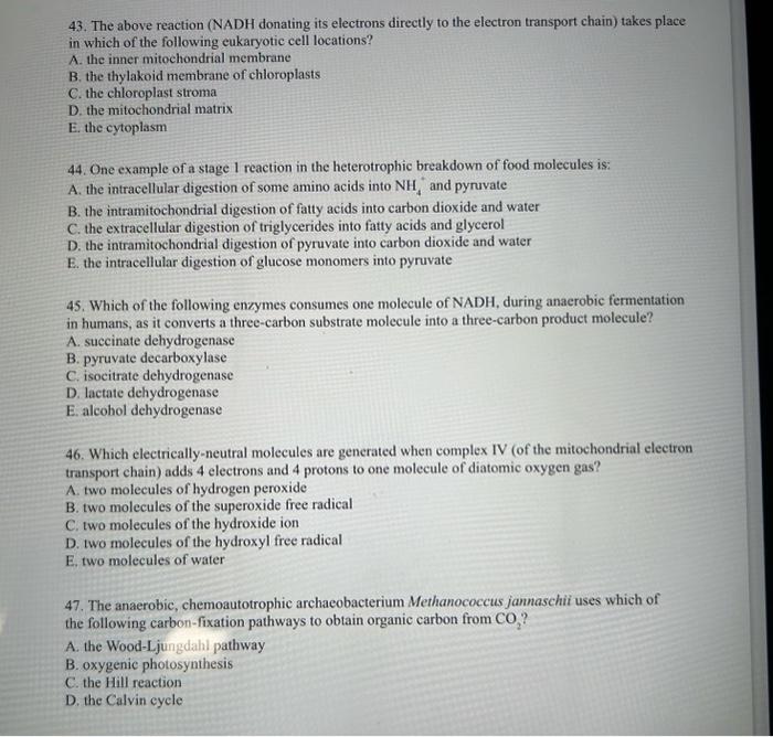 43. The above reaction (NADH donating its electrons directly to the electron transport chain) takes place in which of the fol