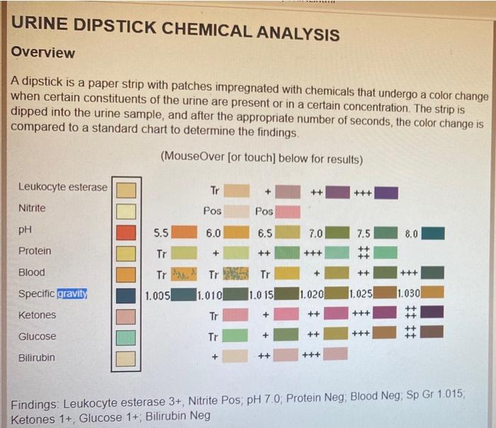 Solved **** URINE DIPSTICK CHEMICAL ANALYSIS Overview A | Chegg.com