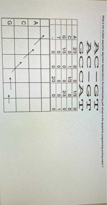 Solved What is the multiple sequence Wigment represented by | Chegg.com