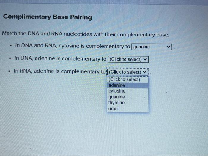 Complimentary Base Pairing Match The Dna And Rna Chegg Com