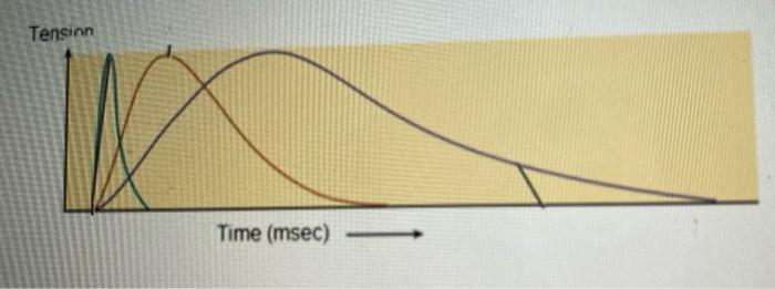 Solved In the graph above, the rates of maximum tension | Chegg.com