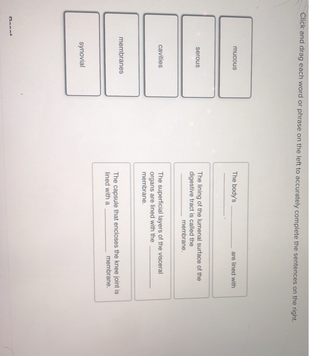 Solved Click and drag each word or phrase on the left to | Chegg.com