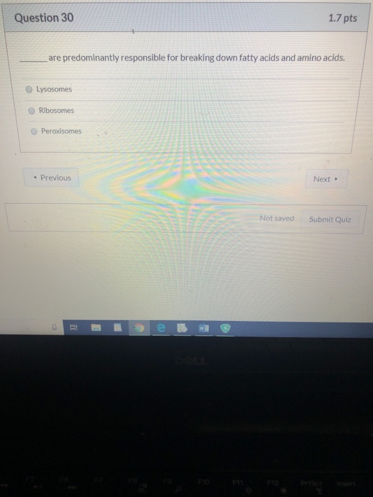 Solved Question 30 1.7 Pts Are Predominantly Responsible