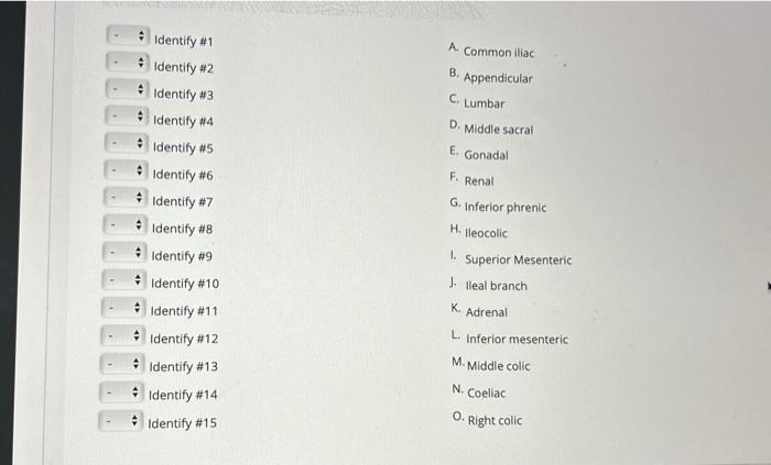 Solved - Identify \#1 - 4 Identify \#2 - ∗ Identify \#3 - $ | Chegg.com