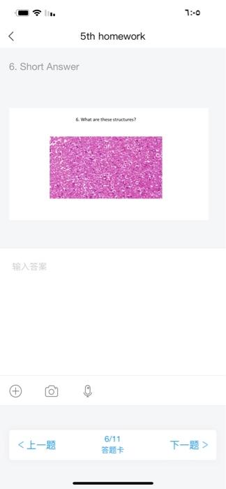 Solved 6 Short Answer Chegg