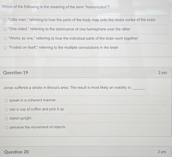 Solved Which of the following is true about the human brain? | Chegg.com