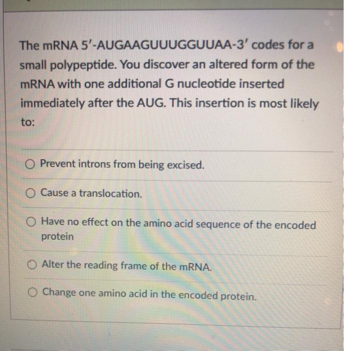 Solved The mRNA 5'-AUGAAGUUUGGUUAA-3' codes for a small | Chegg.com