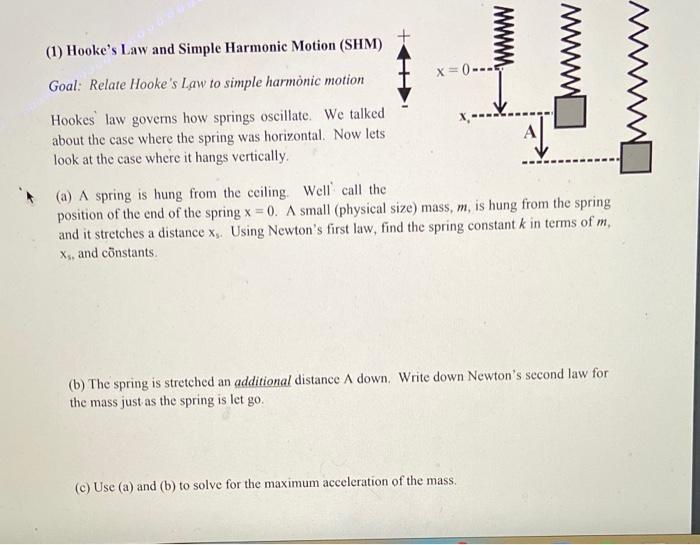 Solved (1) Hooke's Law and Simple Harmonic Motion (SHM) wwww | Chegg.com