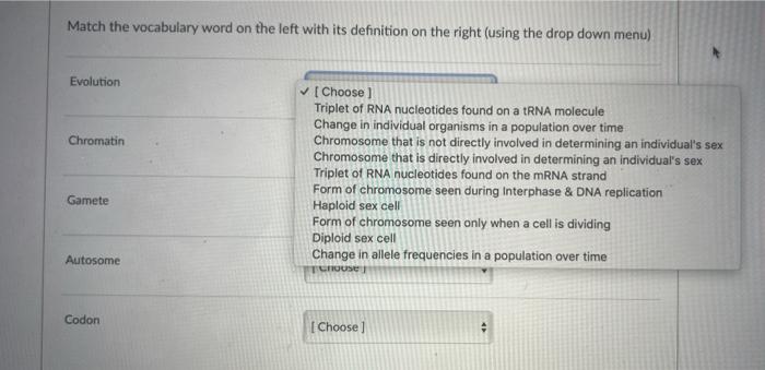 Match each vocabulary term on the left with its