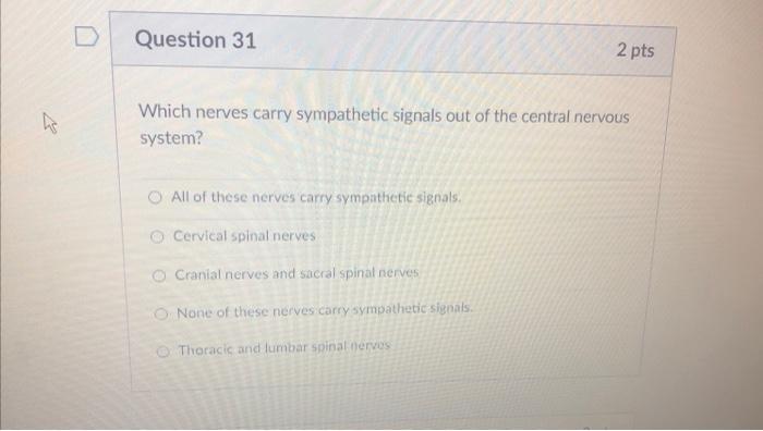 Solved D Question 31 2 pts ho Which nerves carry sympathetic | Chegg.com