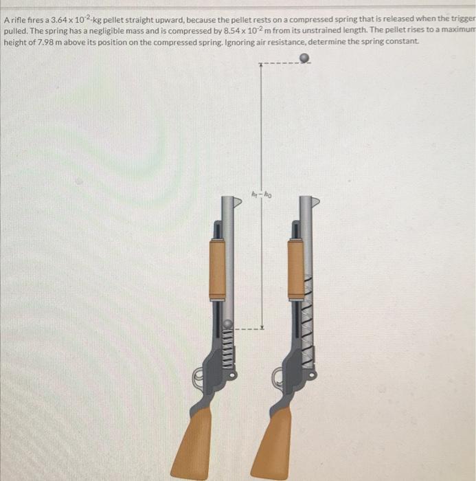 Solved A rifle fires a 3.64×10−2 kg pellet straight upward, | Chegg.com