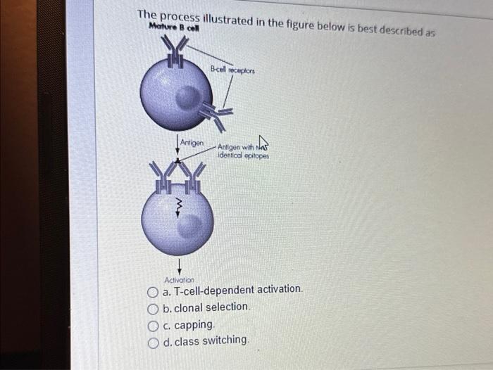 Solved The process illustrated in the figure below is best | Chegg.com