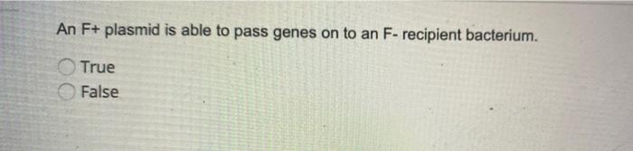 Solved An F+ plasmid is able to pass genes on to an F- | Chegg.com