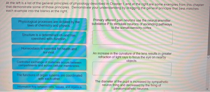 Solved At the left is a list of the general principles of | Chegg.com