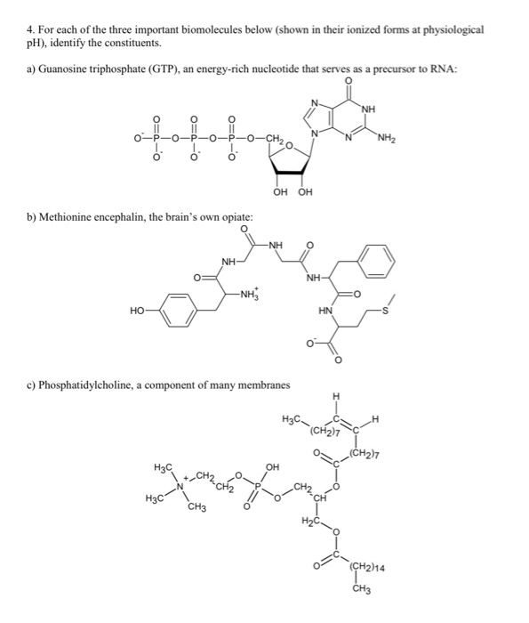 solved-4-for-each-of-the-three-important-biomolecules-below-chegg