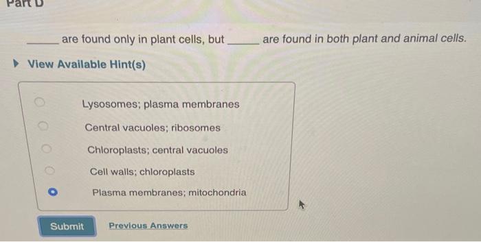 solved-ar-d-are-found-only-in-plant-cells-but-are-found-chegg