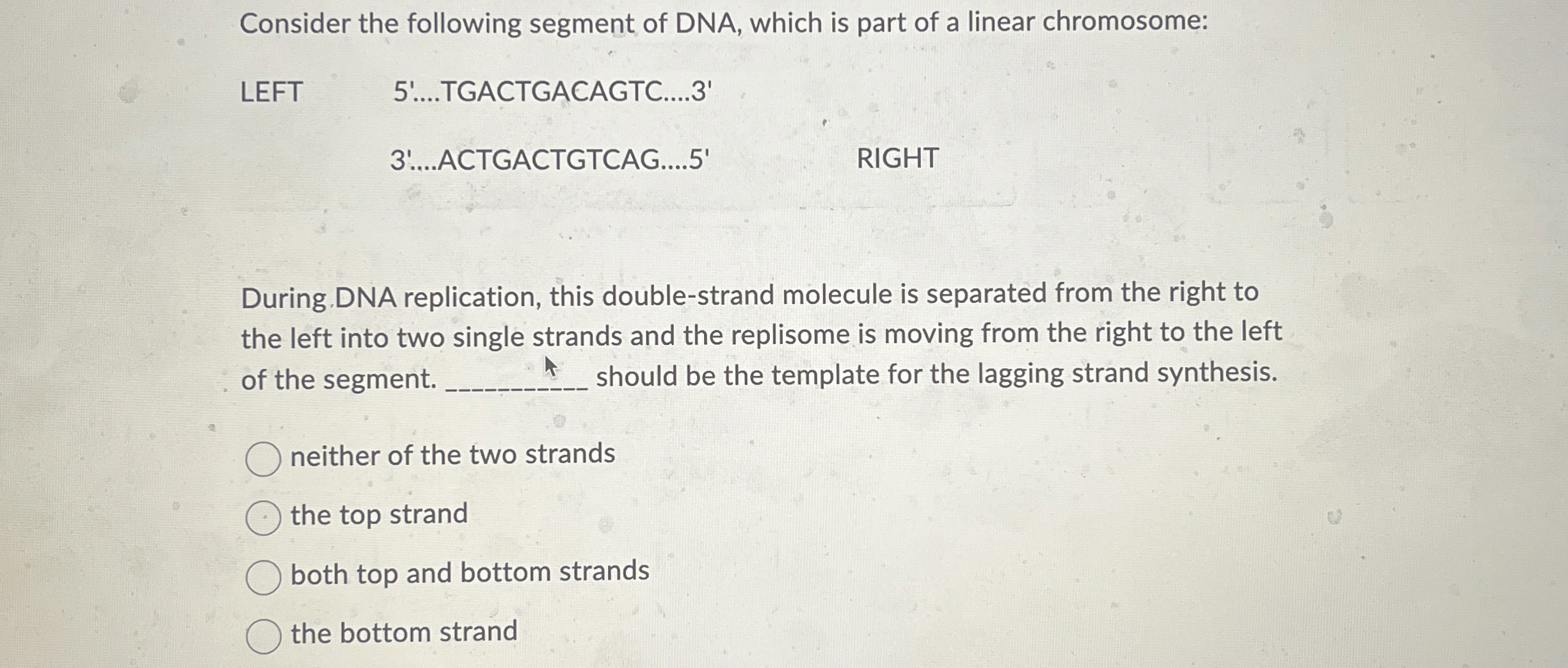 Solved Consider the following segment of DNA, which is part | Chegg.com