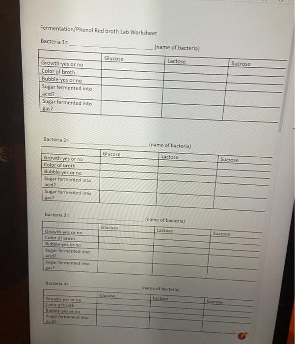 Fermentation/Phenol Red broth Lab Worksheet Bacteria