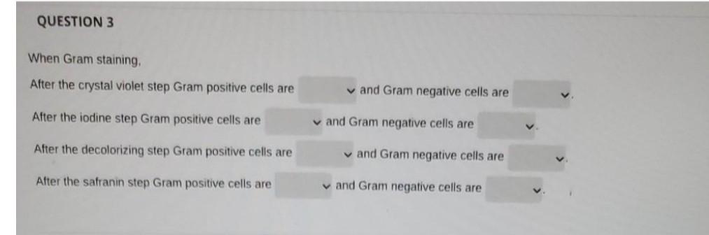 Solved QUESTION 3 When Gram staining, After the crystal | Chegg.com