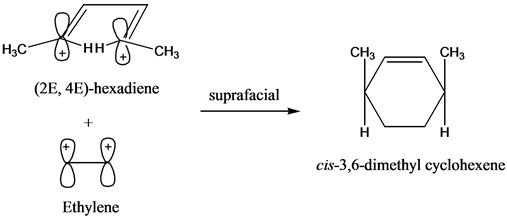 2e 4e