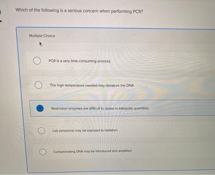 Pcr Worksheet Multiple Choice Questions