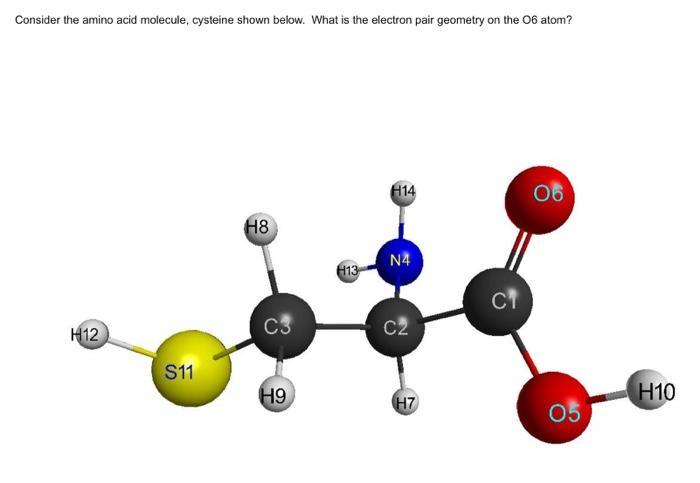 Solved Consider the amino acid molecule, cysteine shown | Chegg.com