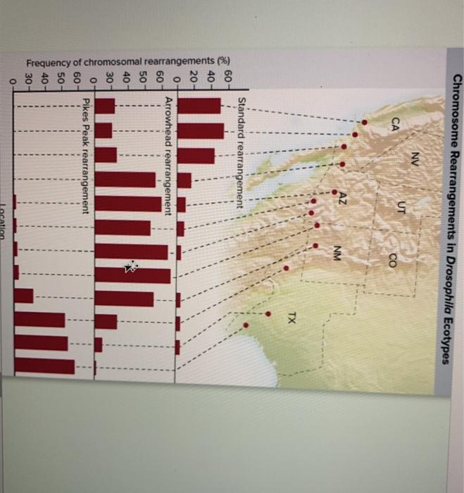 Solved Are "Ecotypes" Incipient Species? One of the most | Chegg.com