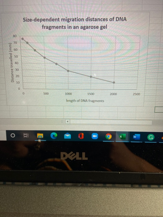 Solved 5. Compare graphs 4 and 5 and discuss the differences | Chegg.com