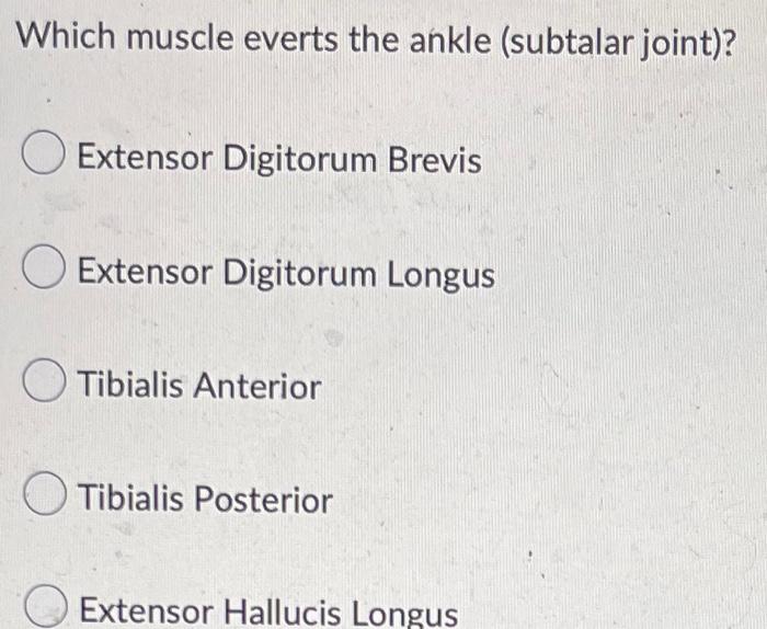 Which muscle everts the ankle (subtalar joint)? O Extensor Digitorum Brevis O Extensor Digitorum Longus Tibialis Anterior Tib