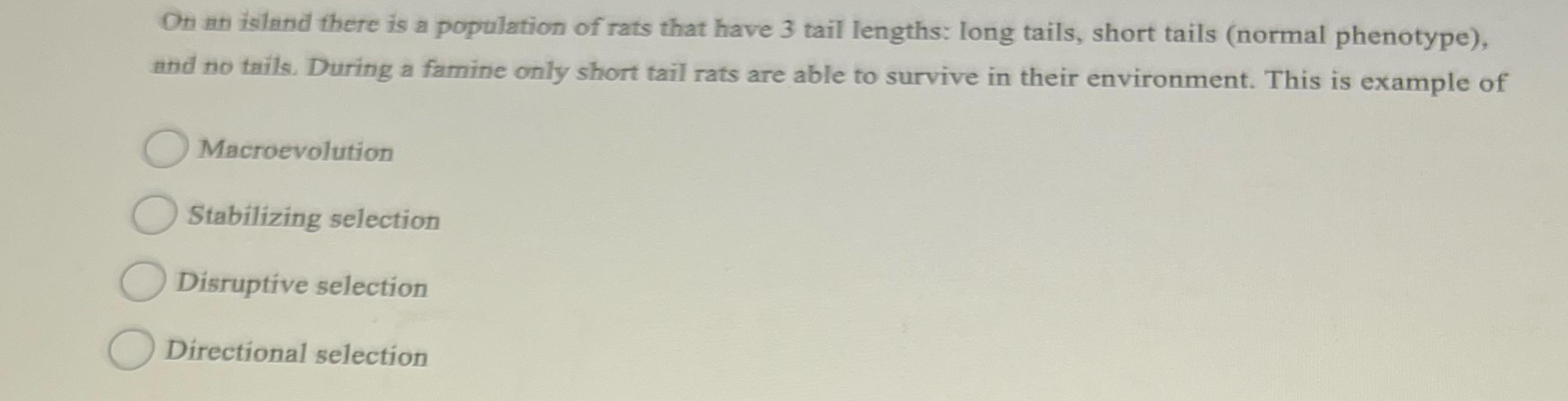 Solved On an island there is a population of rats that have | Chegg.com