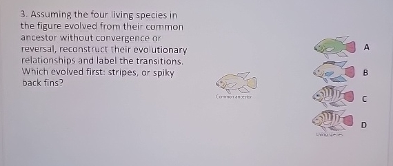 Solved Assuming the four living species in the figure | Chegg.com