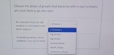 Solved Choose the phase of growth that bacterial cells in | Chegg.com