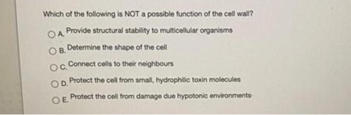 Solved ОА Which of the following is NOT a possible function | Chegg.com