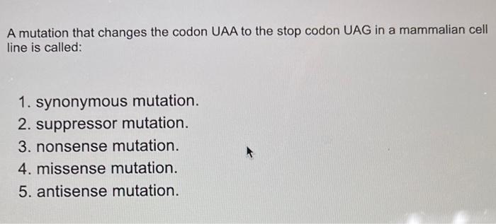 Solved A mutation that changes the codon UAA to the stop | Chegg.com