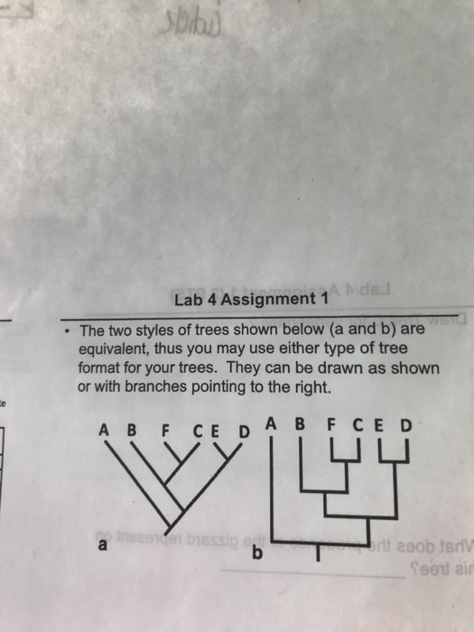 Lab 4 Assignment 1 The two styles of trees shown | Chegg.com