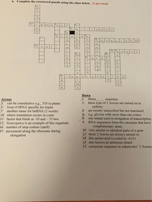 Solved 6. Complete the crossword puzzle using the clues Chegg