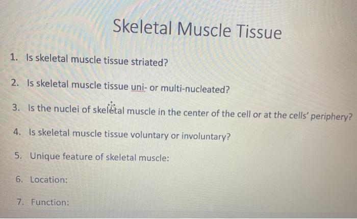Skeletal Muscle Tissue 1. Is skeletal muscle tissue striated? 2. Is skeletal muscle tissue uni- or multi-nucleated? 3. Is the