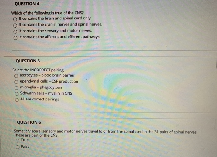 Solved Question 4 Which Of The Following Is True Of The Cns? | Chegg.com Solved Question 4 Which Of The Following Is True Of The Cns? | Chegg.com