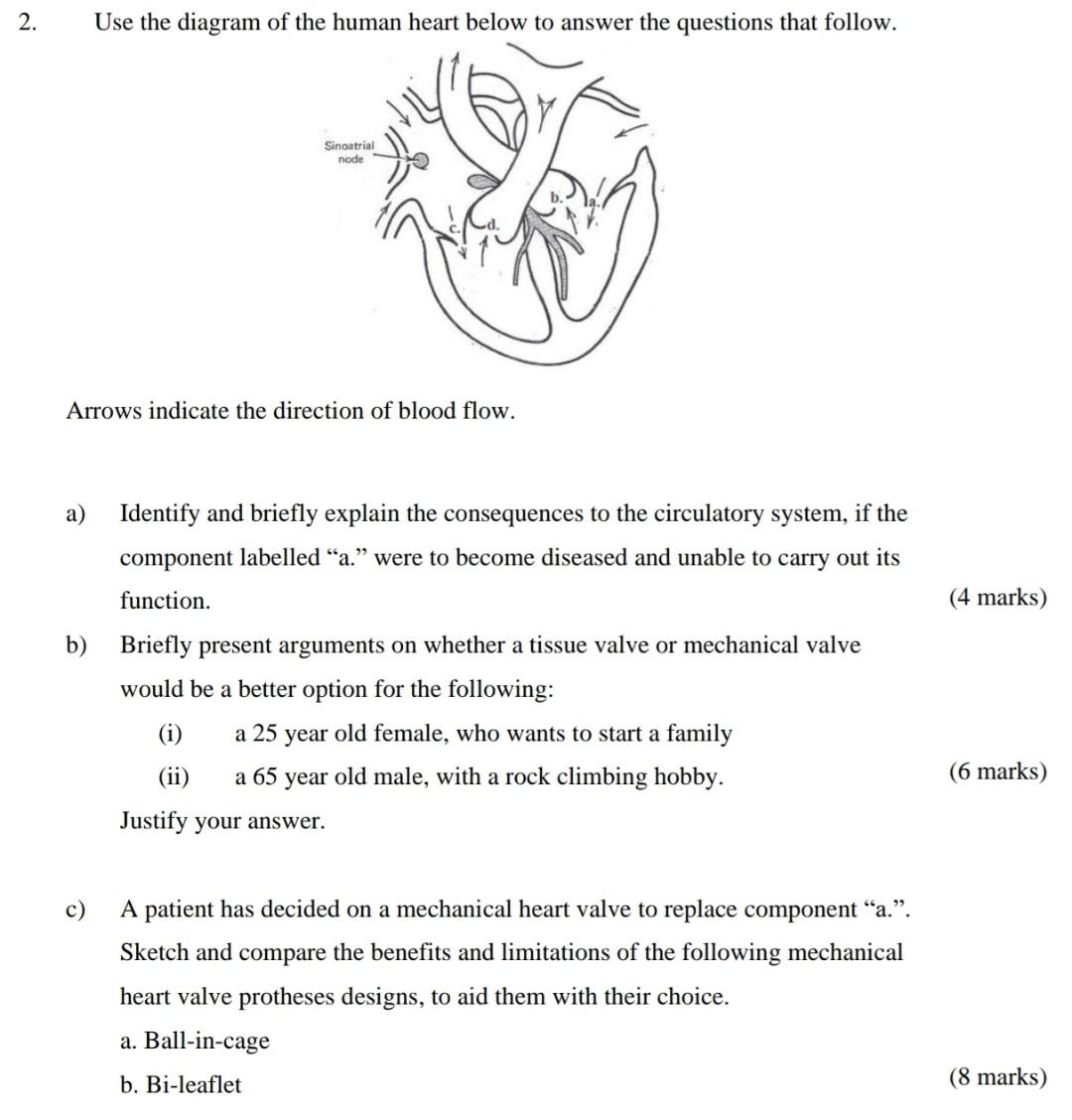 labeled heart diagram with functions