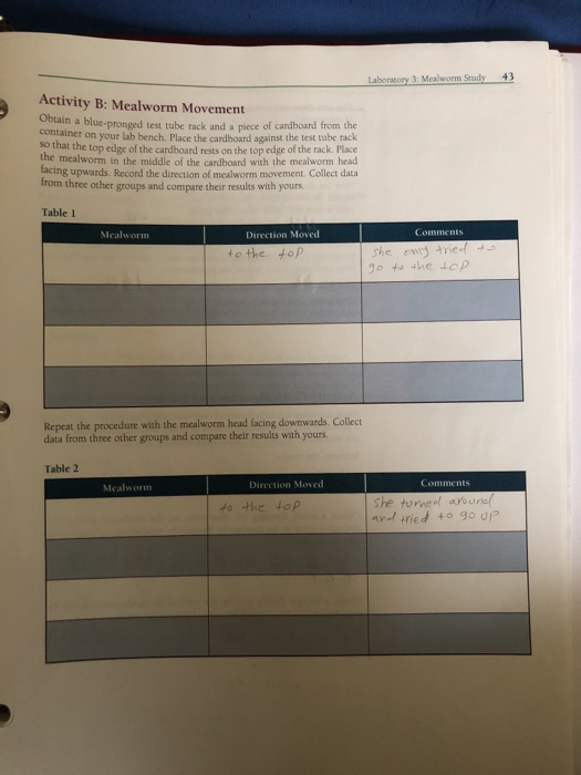 43 Laboratory 3 Mealworm Study Activity B Mealwo Chegg Com