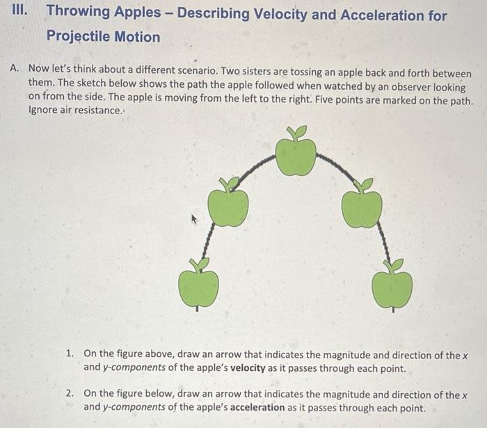 Solved III. Throwing Apples - Describing Velocity and | Chegg.com