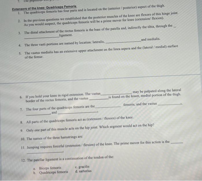 Solved Extensors of the knee: Quadriceps Femoris 1. The | Chegg.com